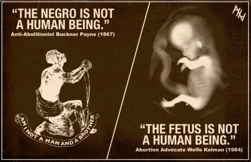 Negro Fetus